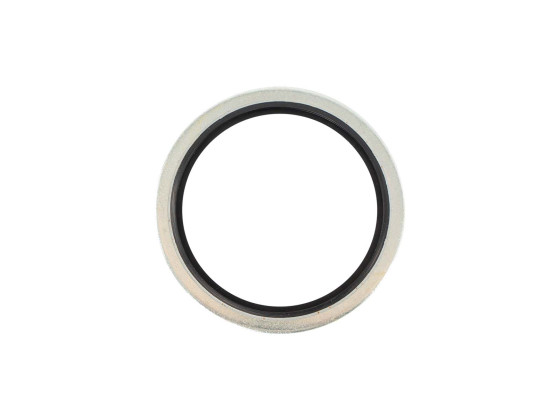 Skive med pakning B S 1 1/4"