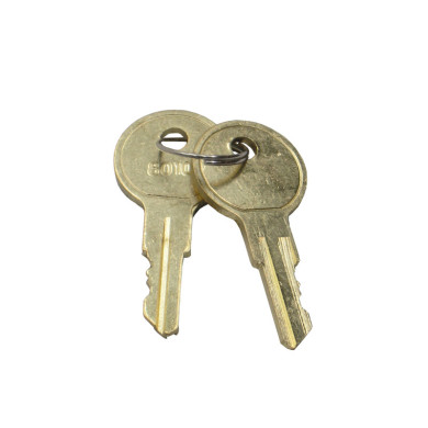 Schlüssel für Schließzylinder T-Typ - 238891 - ,